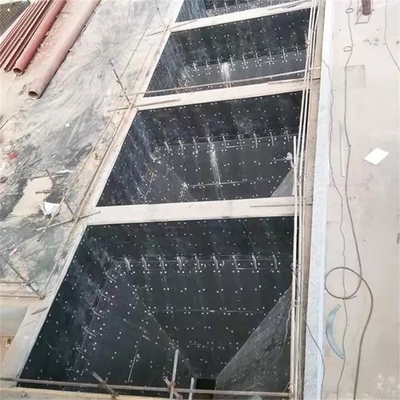 مصنع الطاقة الحرارية السوداء المسحوق UHMWPE لوح بطانة البوليمر بنقل الفحم